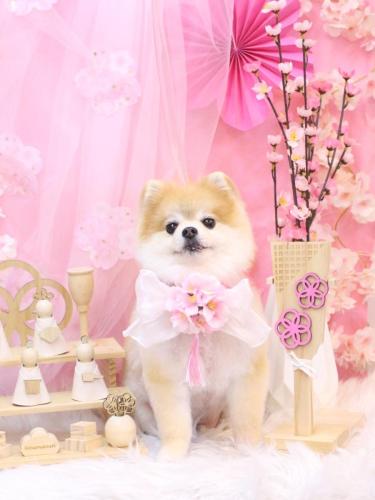 20250308モコくん